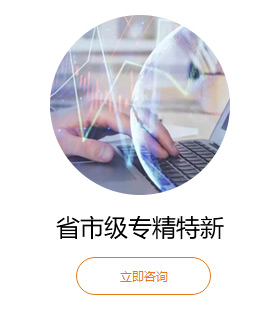 省市級(jí)專(zhuān)精特新