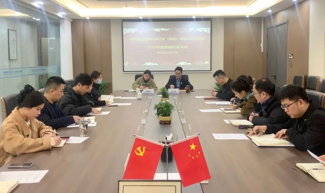 安徽萬(wàn)碩科技產(chǎn)業(yè)（集團(tuán)）有限公司黨支部召開(kāi)2022年度組織生活會(huì)