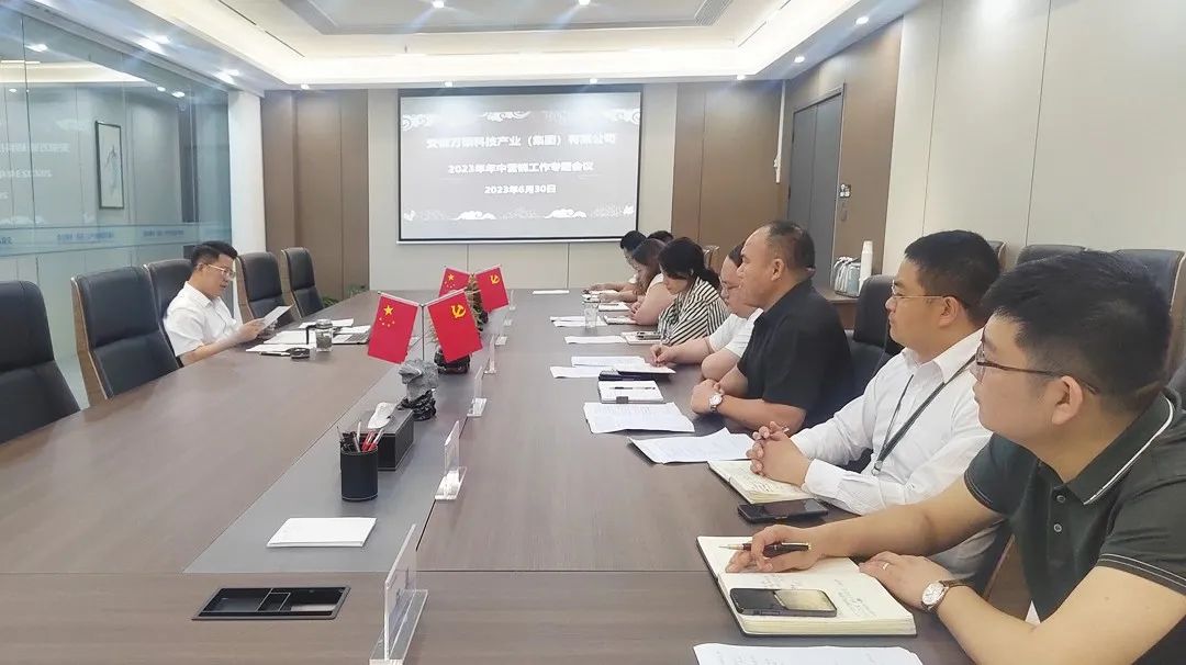 安徽萬碩科技產(chǎn)業(yè)（集團）有限公司召開2023年度年中營銷工作專題會議