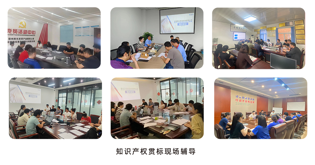 喜訊！安徽萬碩科技產(chǎn)業(yè)（集團）有限公司輔導6家企業(yè)順利獲得《知識產(chǎn)權(quán)管理體系認證證書》