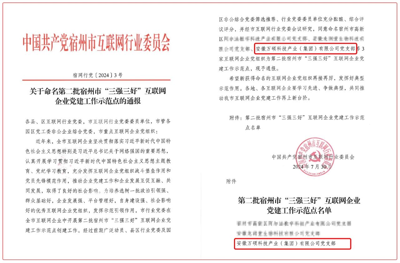 喜報(bào)！安徽萬碩科技產(chǎn)業(yè)（集團(tuán)）有限公司黨支部榮獲宿州市互聯(lián)網(wǎng)企業(yè)“三強(qiáng)三好”黨建工作示范點(diǎn)